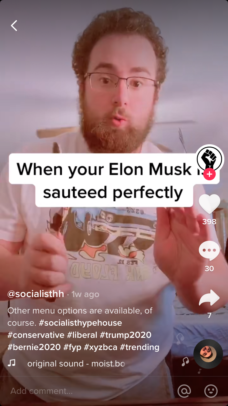 Elon Musk TikTok.PNG