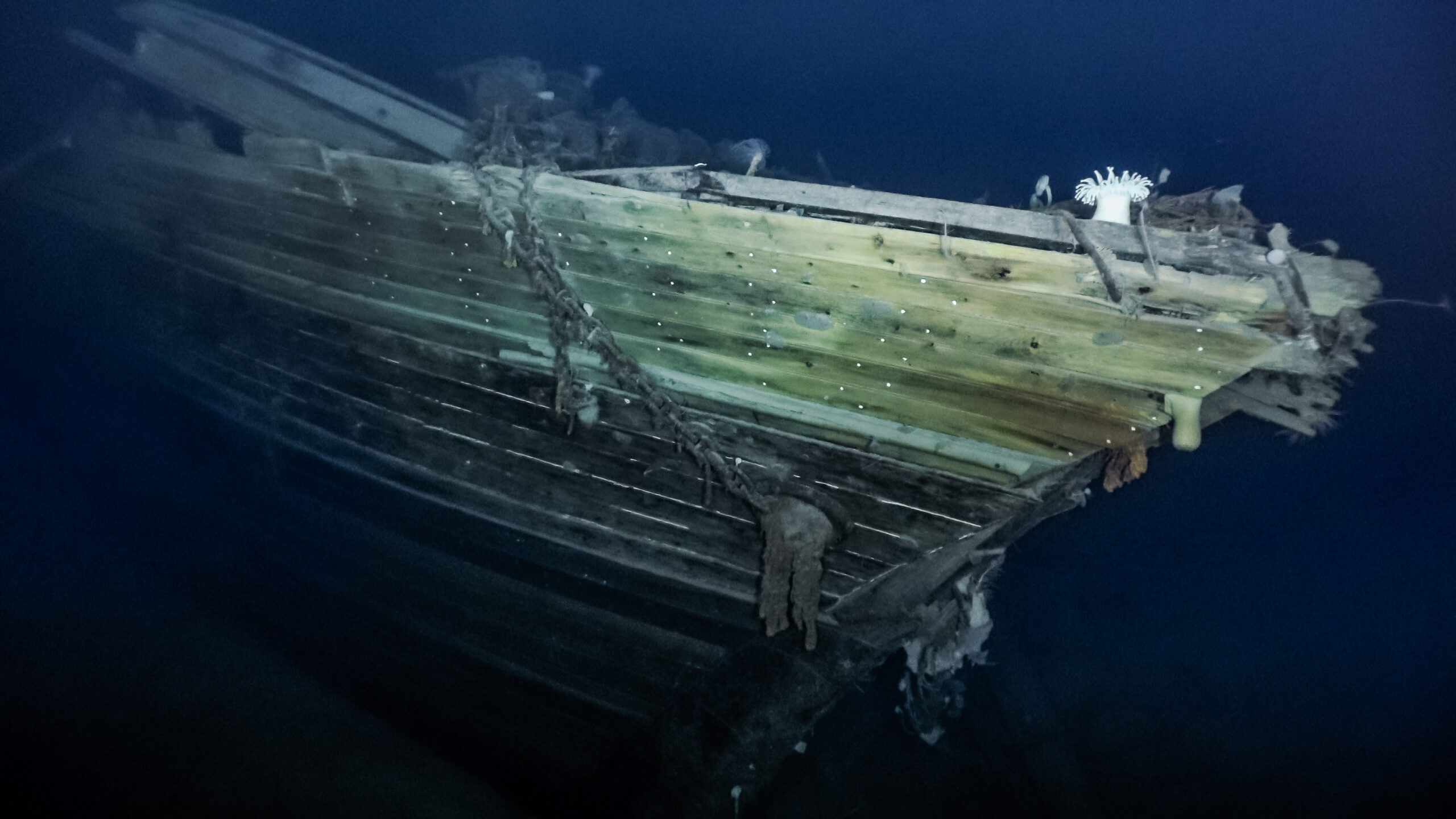 Endurance Ship
