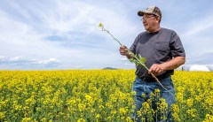 A potential biodiesel bonanza