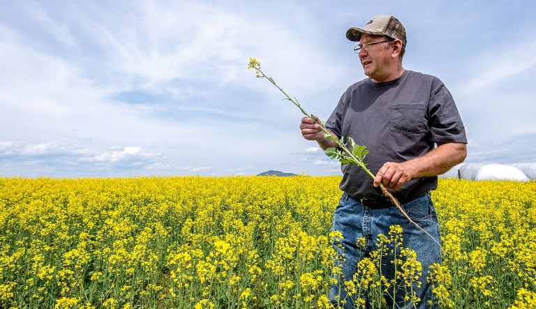 A potential biodiesel bonanza