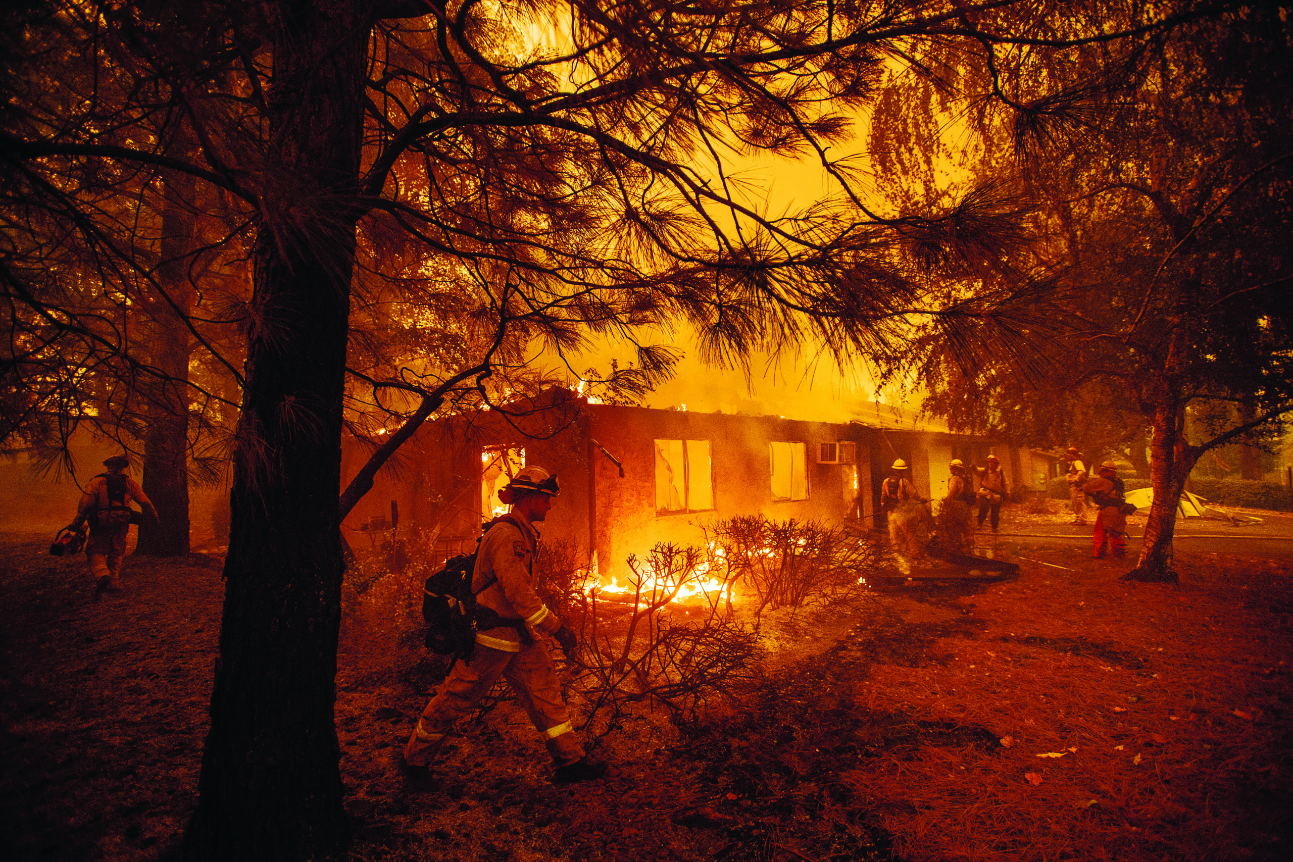 California, feds, green groups partner on more logging to stop deadly wildfires