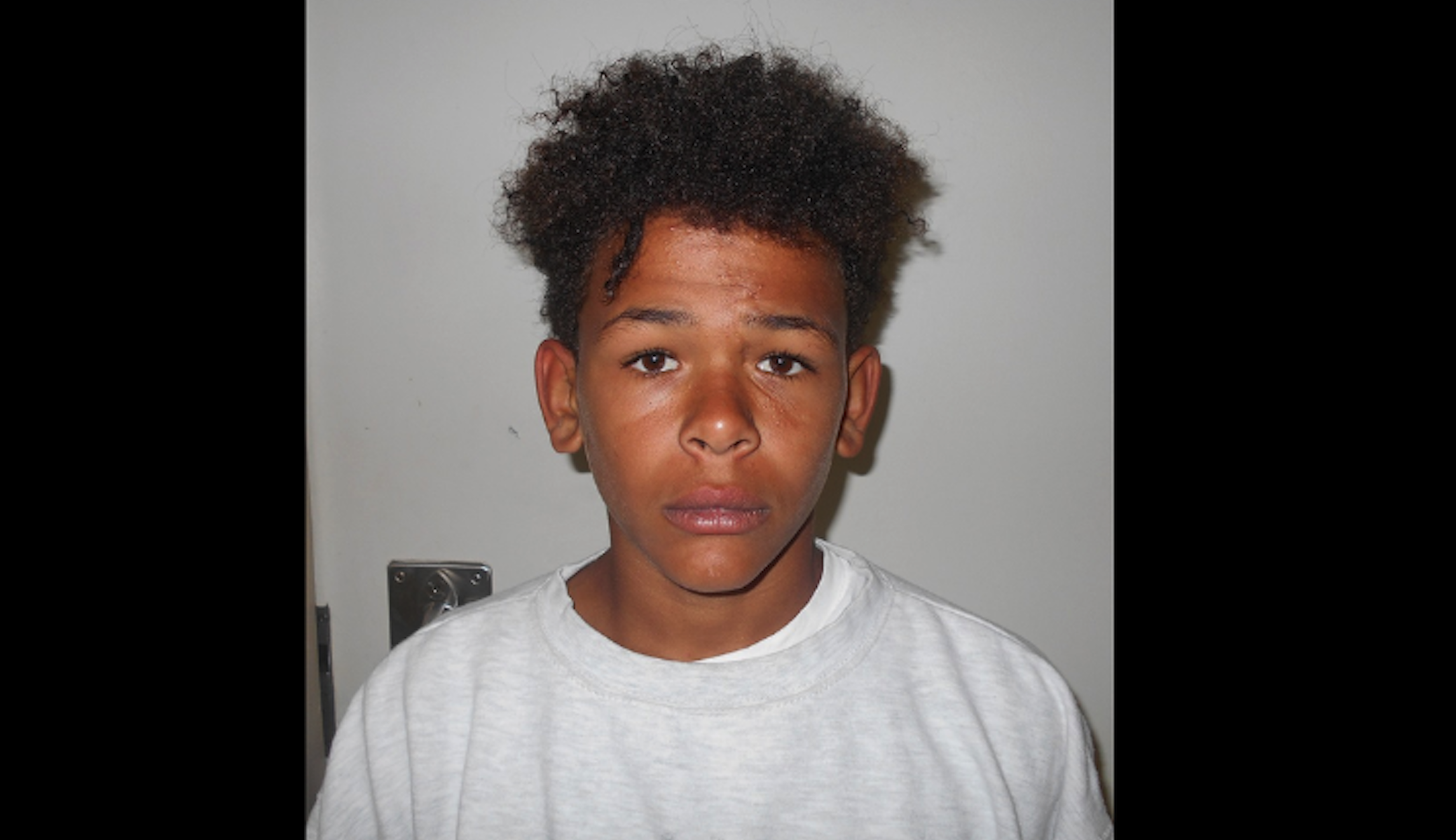 UPDATED: Boy, 13, accused of murdering two brothers escapes after court appearance