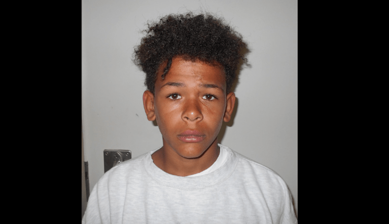 UPDATED: Boy, 13, accused of murdering two brothers escapes after court appearance