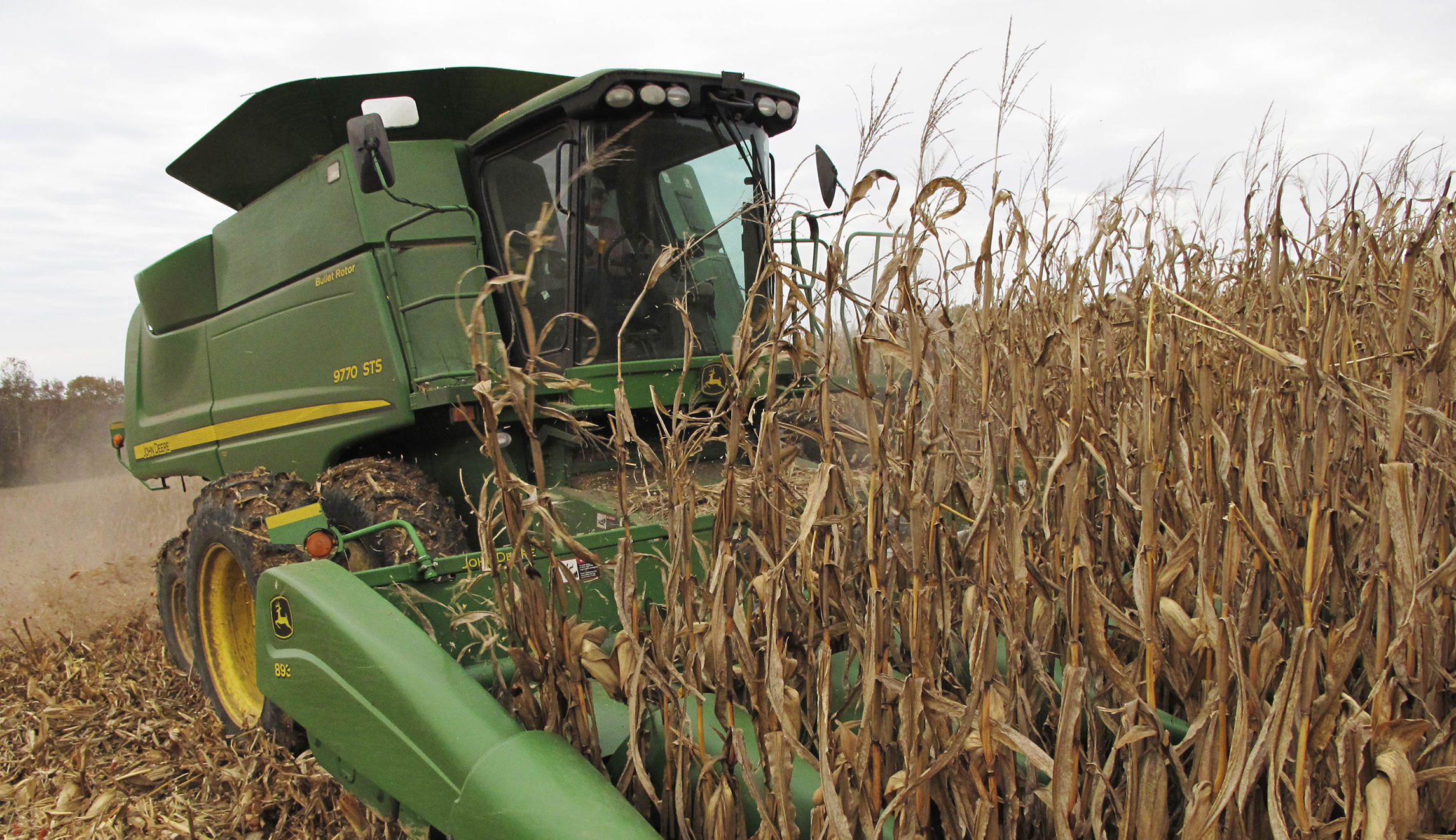 The Renewable Fuel Standard isn’t good for farmers, either