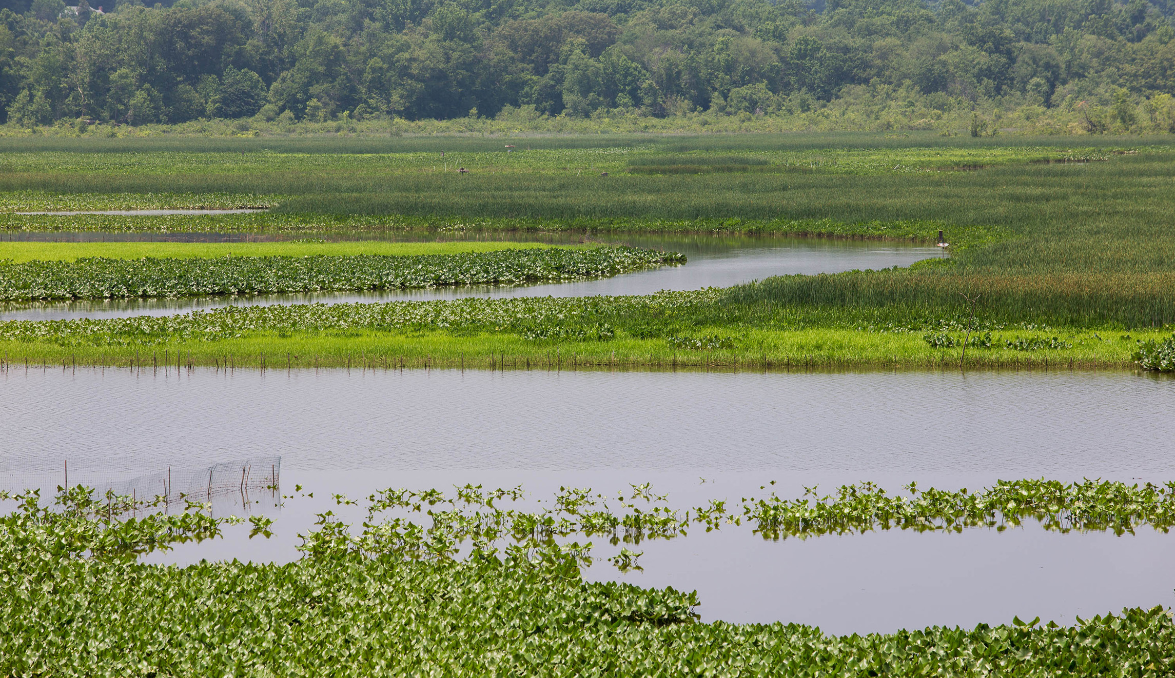 EPA’s Scott Pruitt takes over all big decisions on America’s waterways