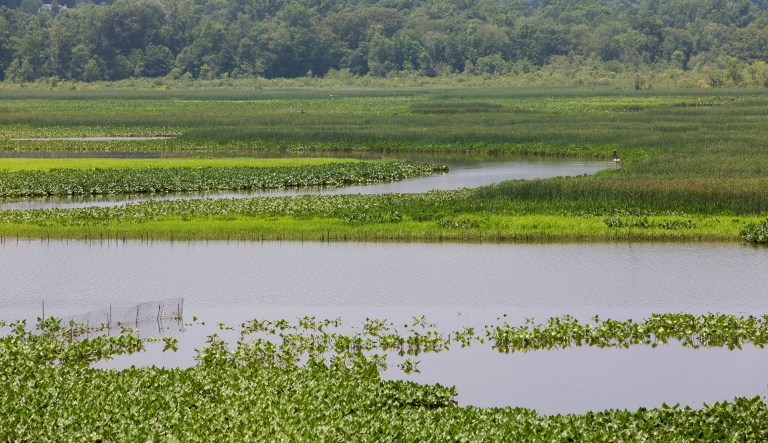 The Obama administration, in conjunction with the EPA, and the U.S. Army Corps of Engineers, has issued a  rule on putting more small bodies of water and wetlands under federal protection to ensure clean drinking supplies The move that has angered some lawmakers, businesses, and farming groups.