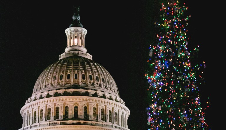 The U.S. Capitol Christmas Tree is pictured.