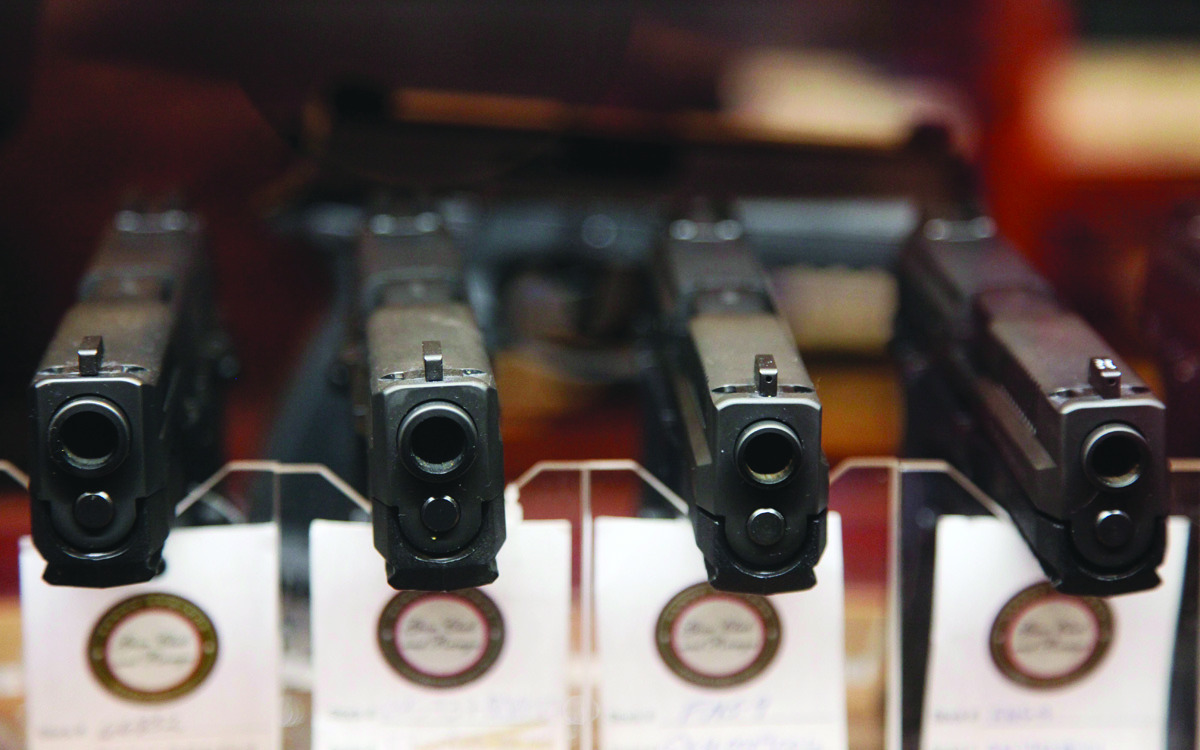 Grassroots referendum effort challenges Maryland gun bill