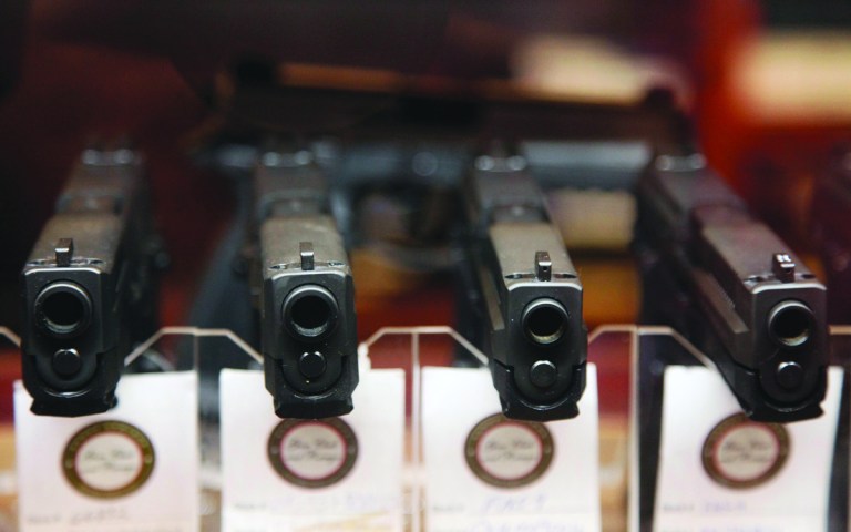 Maryland resident Sue Payne is attempting to overturn Maryland's gun bill with a referendum. (AP Photo/Robert Ray)