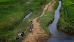 North Koreans are infested with parasites