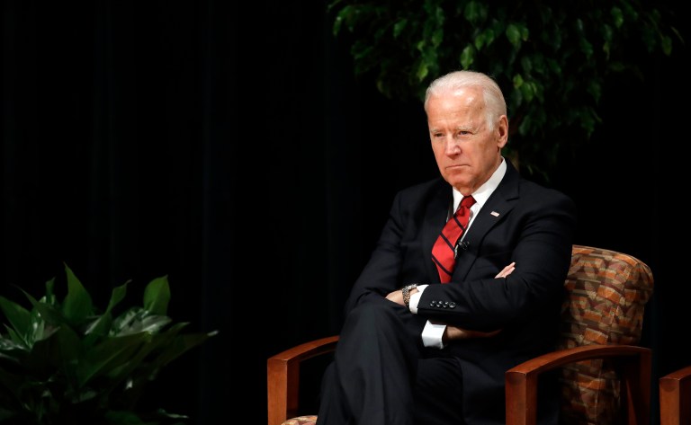 Former Vice President Joe Biden's niece pleaded guilty Friday to grand larceny and petty larceny after she was accused of opening a customer account at a New York City drugstore without the cardholder's permission. (AP Photo/Patrick Semansky)