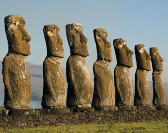 Head Cases