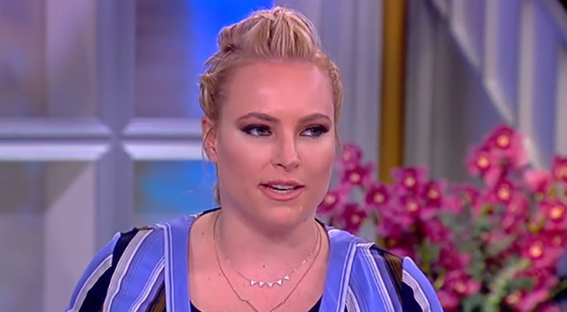 Meghan McCain ‘really enjoyed’ watching Elizabeth Warren ‘rip out Mayor Bloomberg’s jugular’