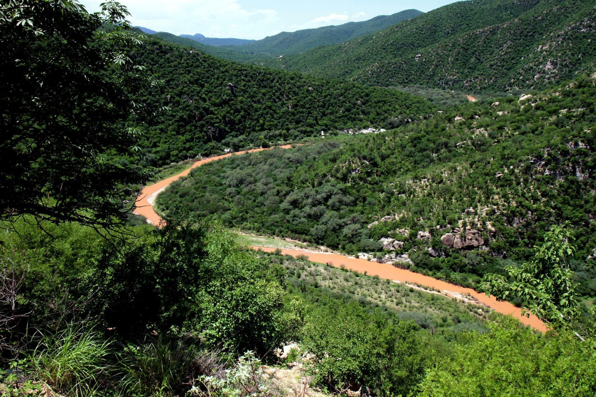 Mexico files complaint against mine in acid spill