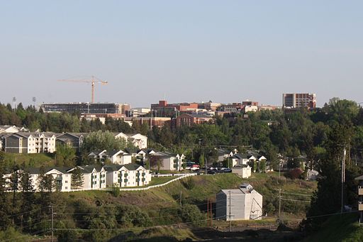 University won’t punish students for writing ‘illegal aliens’ or ‘male/female’