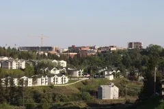 University won’t punish students for writing ‘illegal aliens’ or ‘male/female’