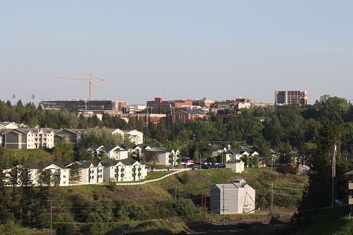 University won’t punish students for writing ‘illegal aliens’ or ‘male/female’