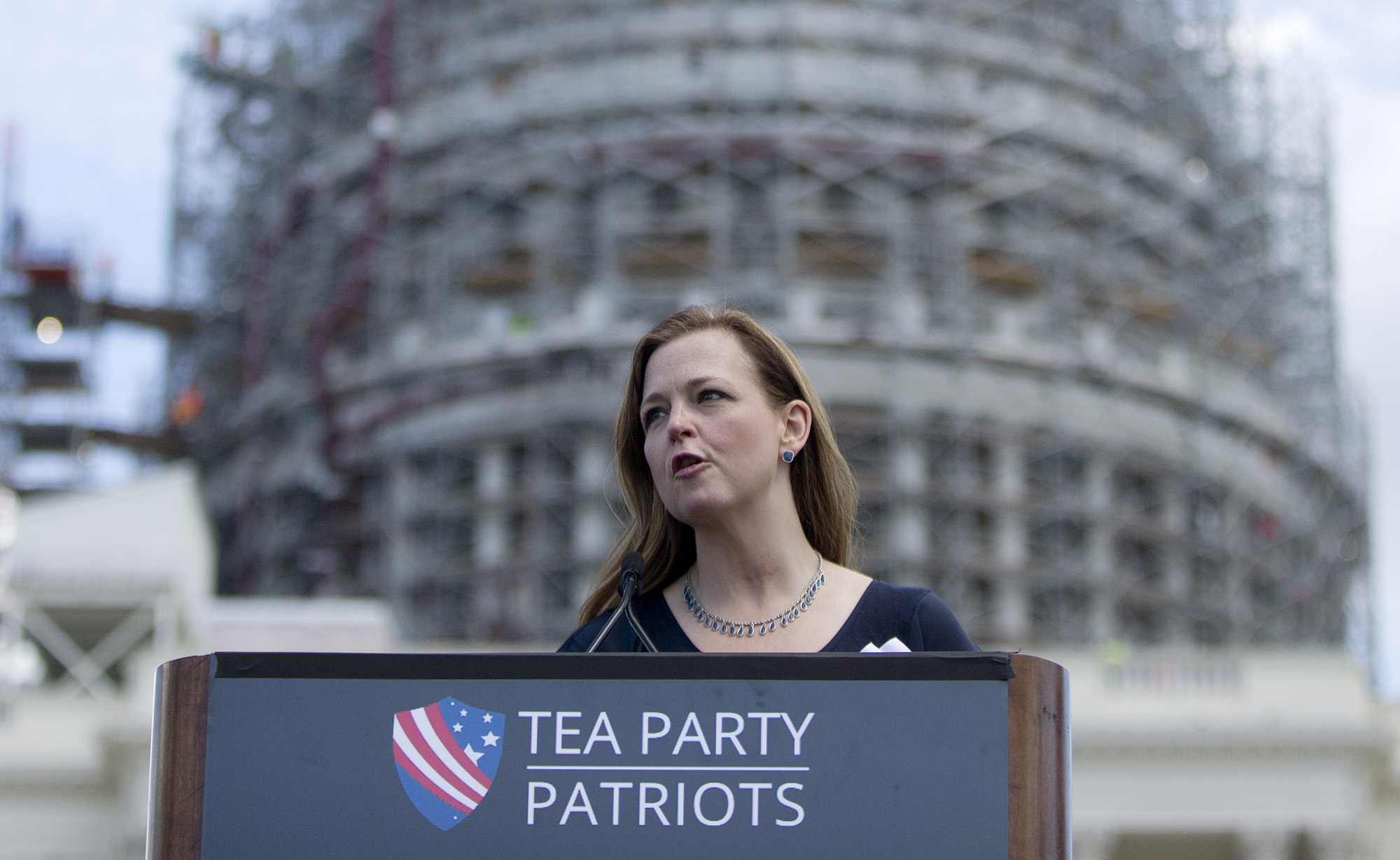 Tea Party leader blasts ‘Double Dealing’ Trump for hiring lobbyists
