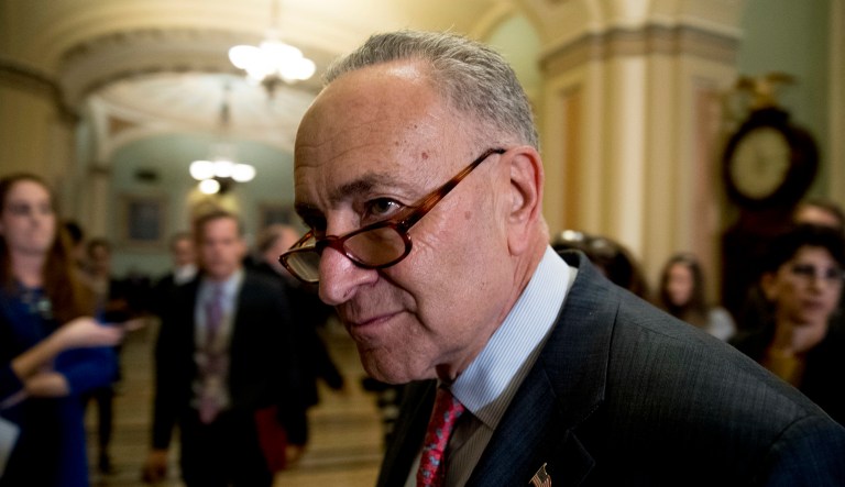 Schumer took aim at the GOP plan not to work on a bipartisan basis and instead use the reconciliation process to pass a bill. (AP Photo/Andrew Harnik)