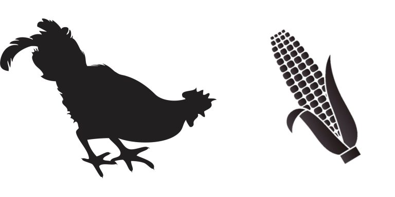 (Thinkstock Illustrations)