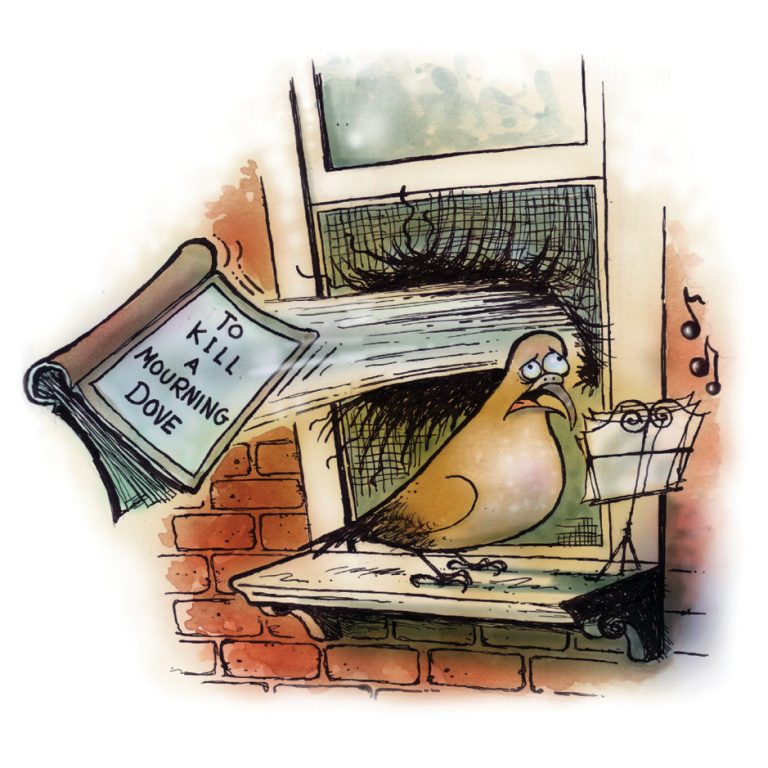 The Birds
