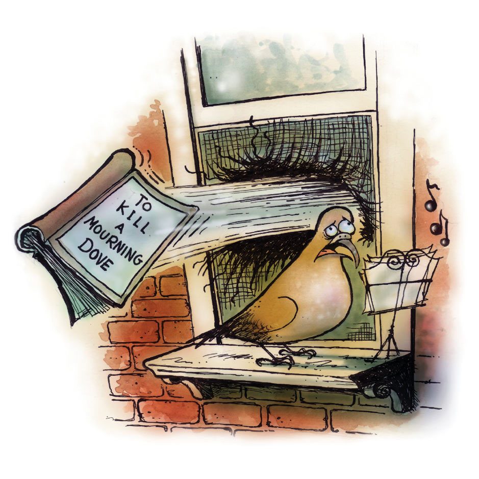 The Birds
