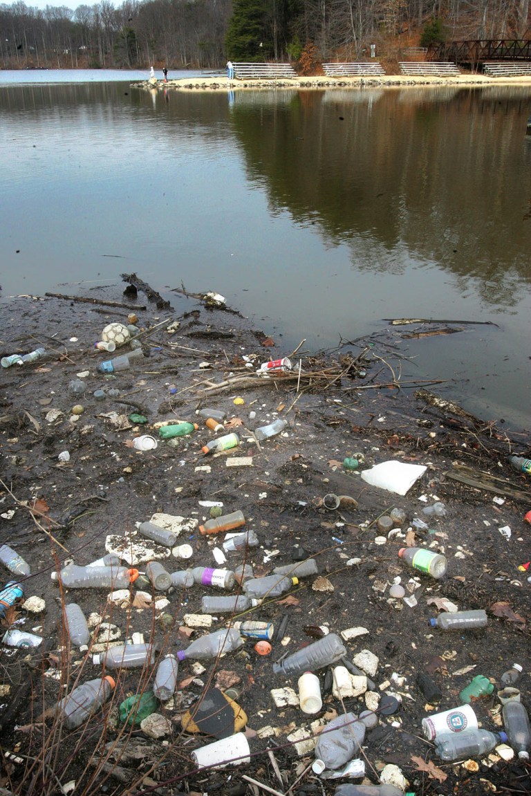 The Environmental Protection Agency will not appeal a January court ruling that found the agency overstepped its authority in trying to regulate water flow in Accotink Creek in Virginia, the state announced Monday. (Photo: Examiner file)