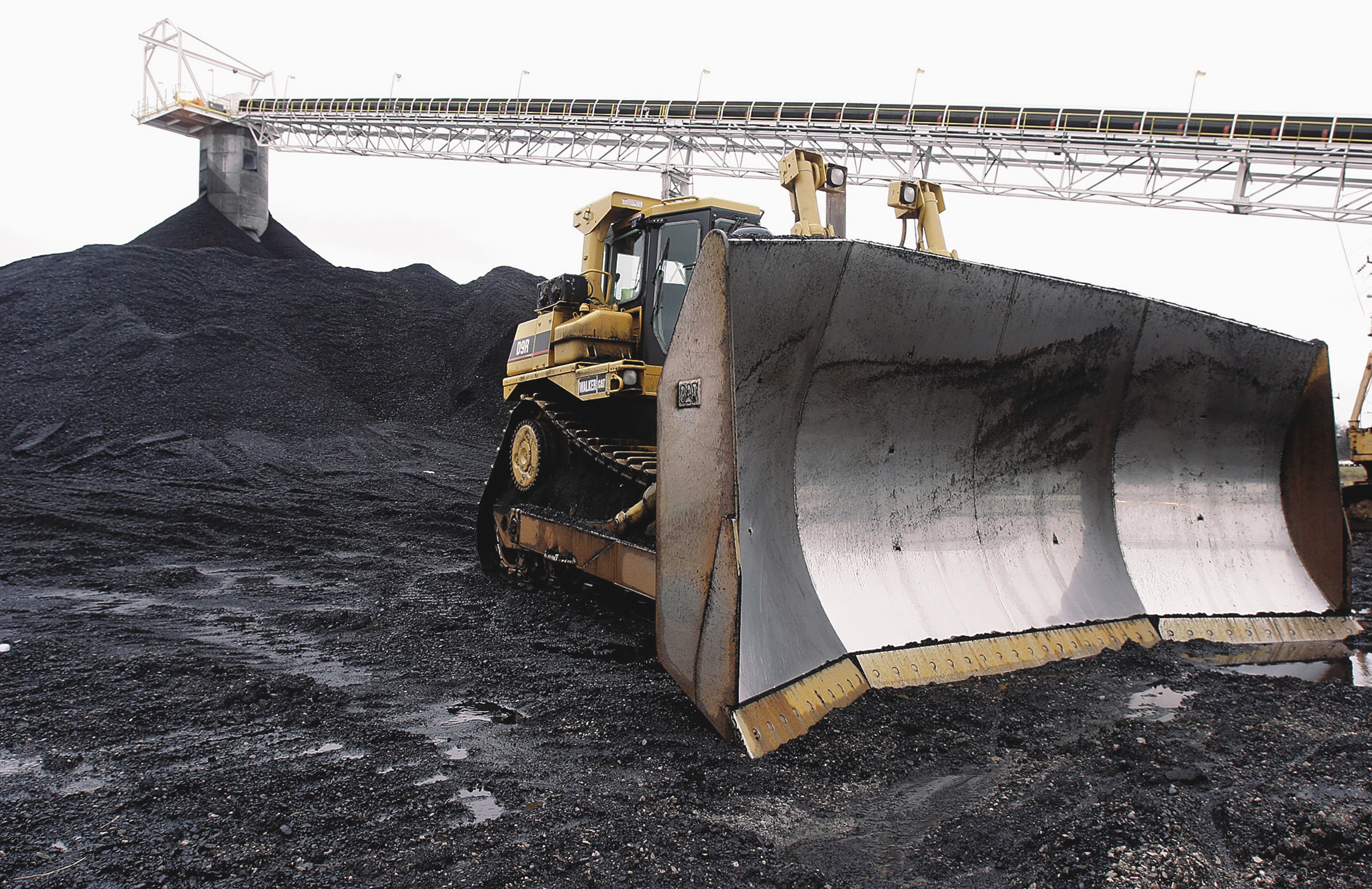 Top coal mining company could declare bankruptcy