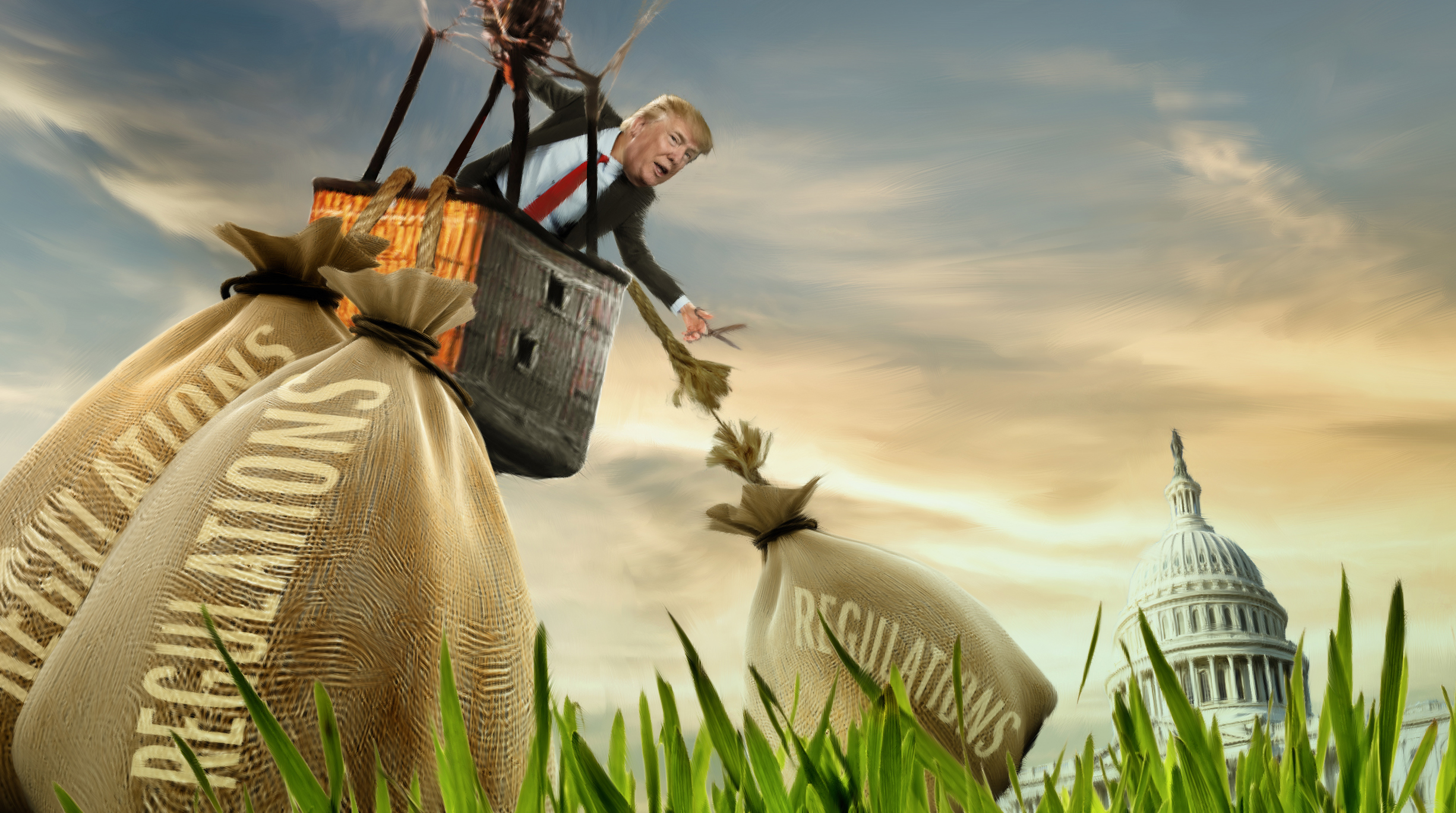 Trump cuts business free