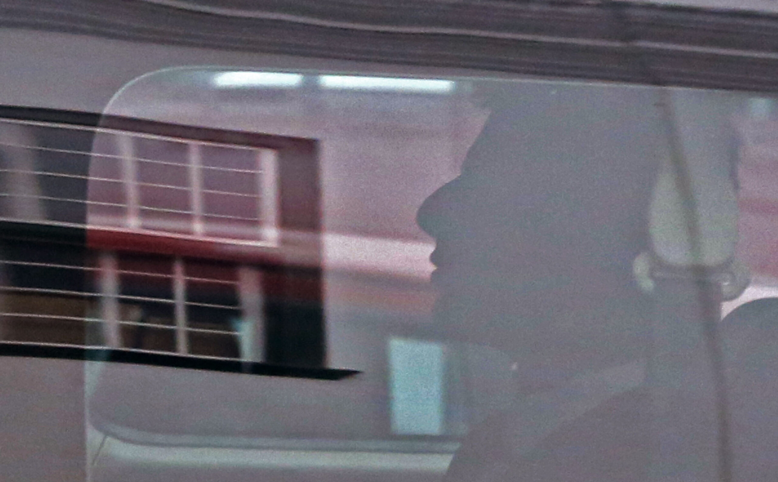 Honeymoon slaying suspect attends SAfrican court