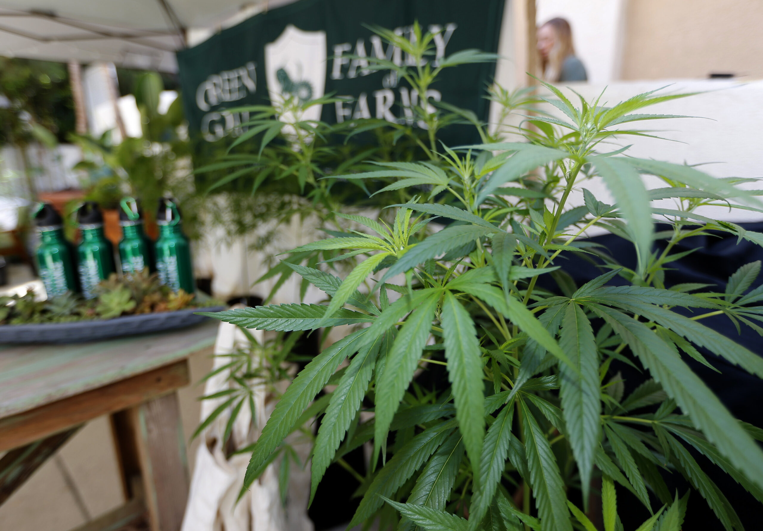 Business struggles with pot-smoking workers, wants White House to weigh in