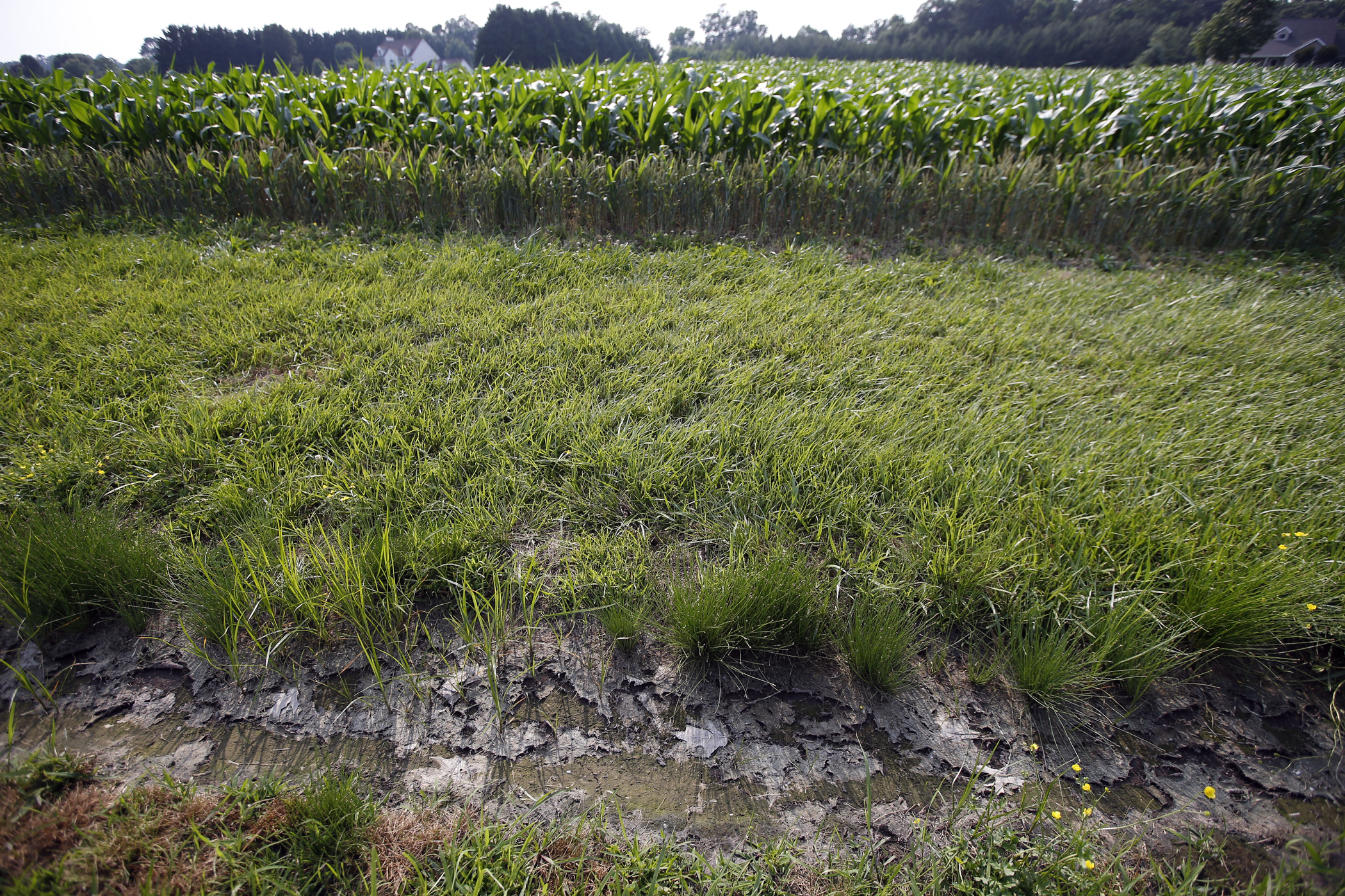 Appeals court will hear challenge to EPA water rule