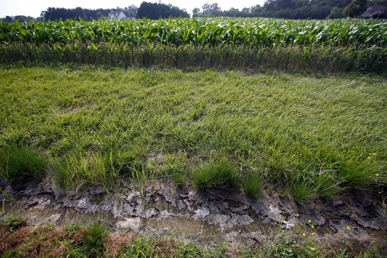 Ranchers, farmers and states argue the water rule gives the EPA unprecedented authority over drainage ditches and nearly anything else that can contain water. (AP Photo/Alex Brandon)