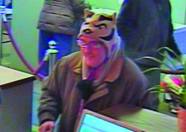 Stupid Crimes: Badger heist; stun gun fun; no cream or sugar