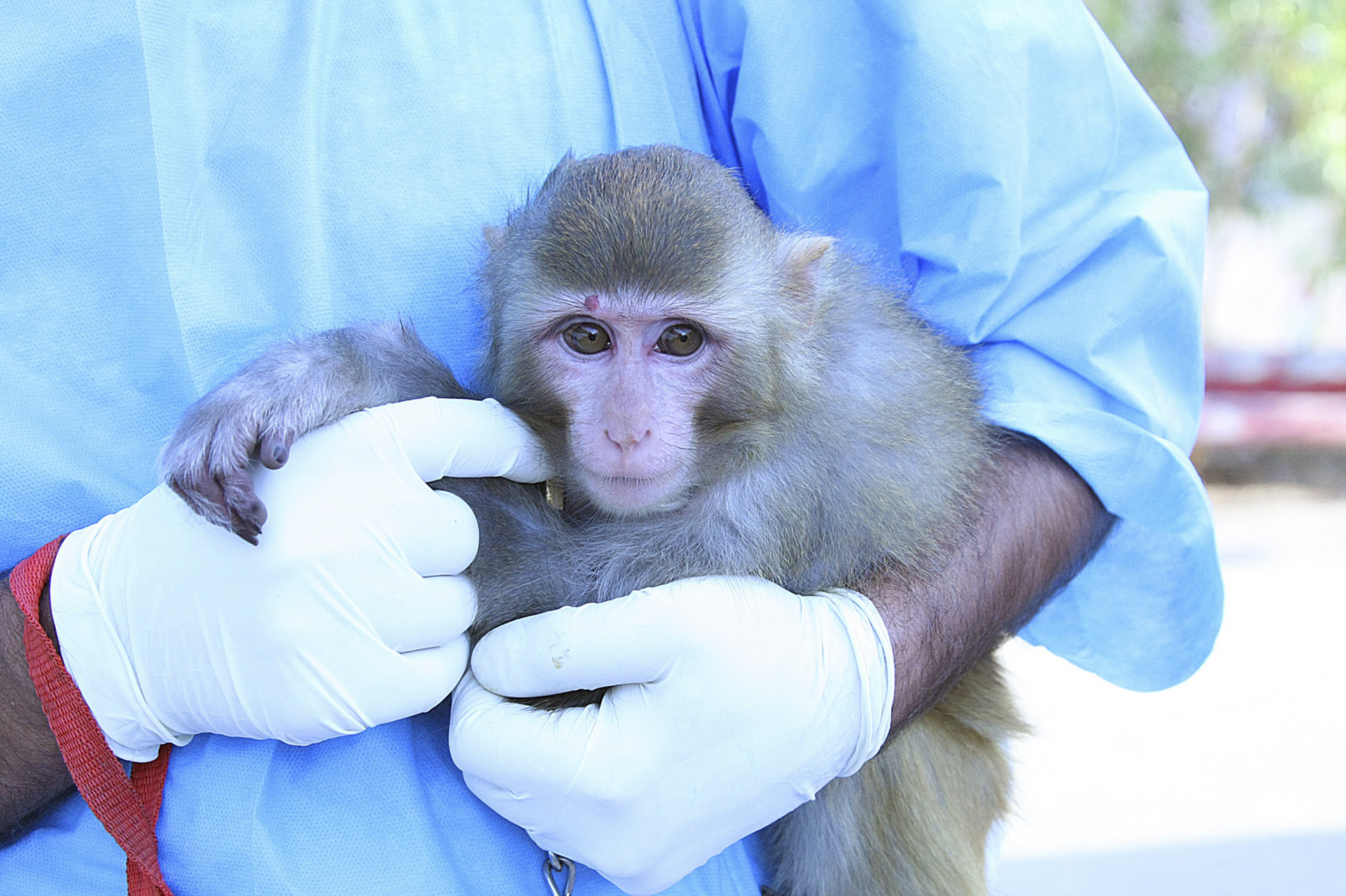 Talking Points for Feb. 5: Sick baby boomers; Iran’s space monkey; mobile phone privacy