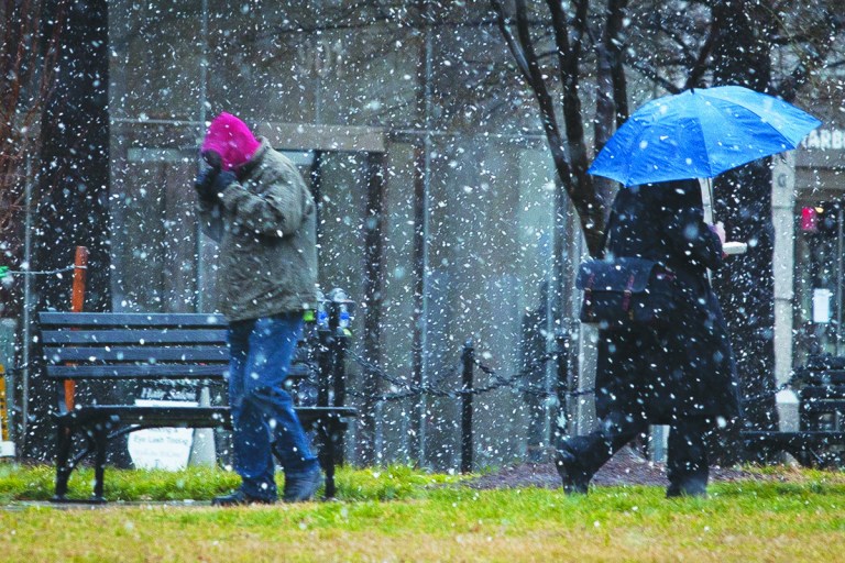 Graeme Jennings/Examiner
Commuters shield themselves from snow Wednesday in D.C. The storm fizzled and turned to mostly rain in the D.C. area during the afternoon.