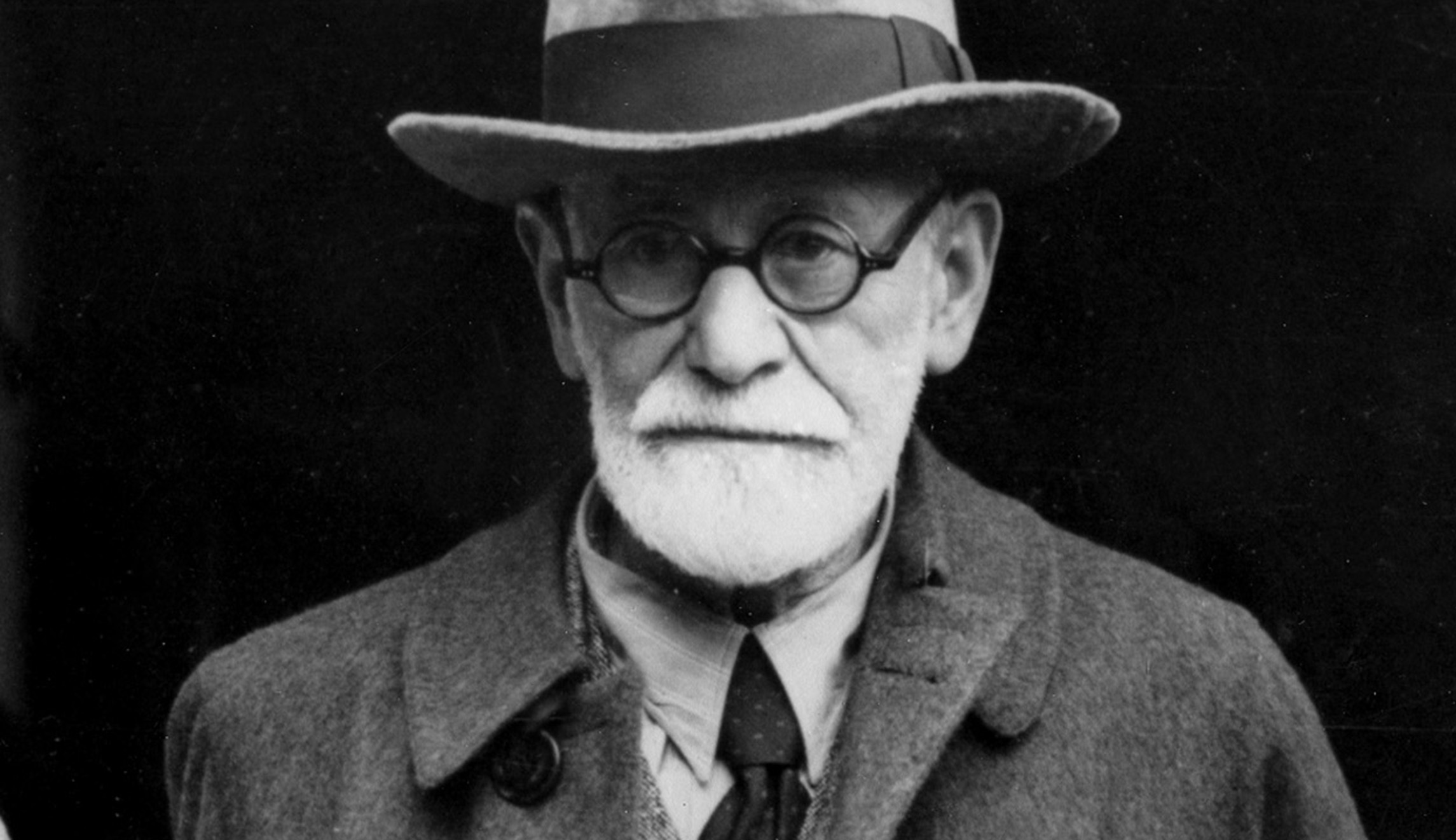 Judges don’t need to be Freud to understand Trump’s reason for travel ban, Hawaii argues