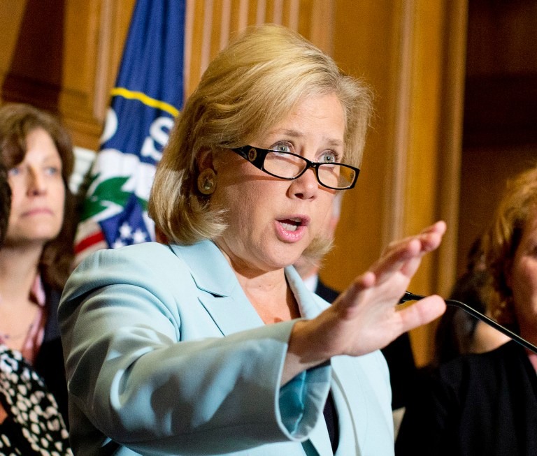 In this Oct. 3, 2013, file photo Sen. Mary Landrieu, D-La., speaks at a news conference and Capitol Hill in Washington. Landrieu's quest for a fourth Senate term will turn on whether she can attract just enough support from independents and Republicans to win in this increasingly conservative state. (AP Photo/ Evan Vucci, File)