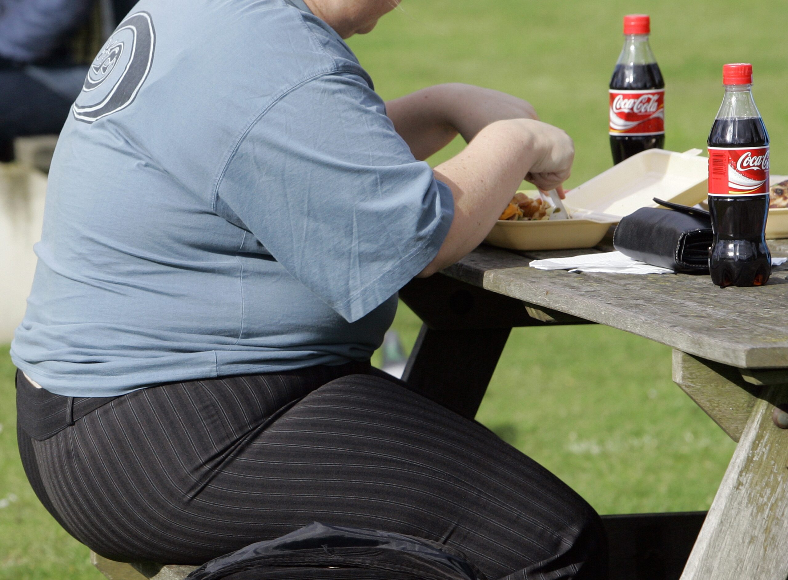 30 percent of world is now fat, no country immune