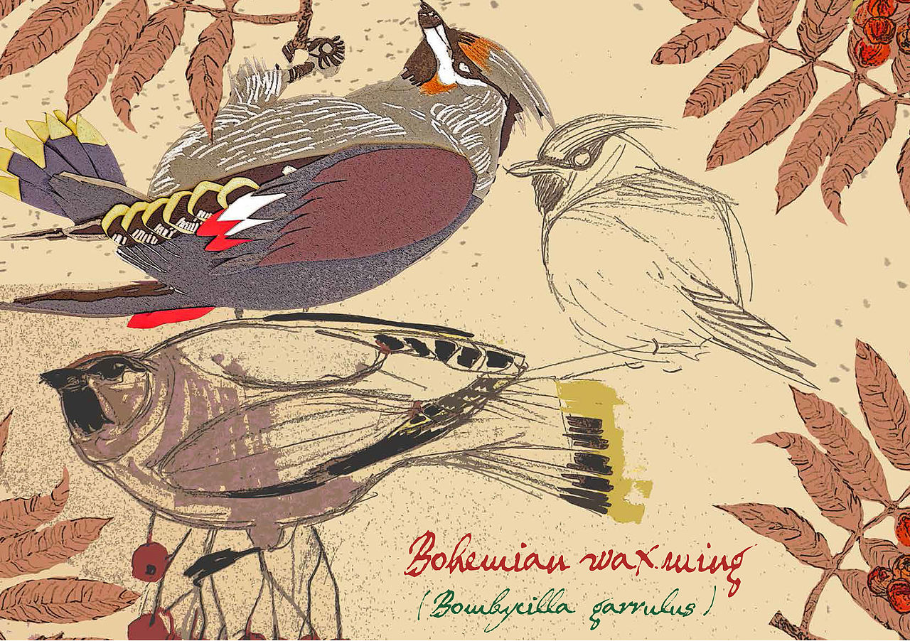 Prufrock: ‘White Trash Cooking’ Revisited, Cruel Birdwatchers, and the Most Expensive Book at the Bottom of the Atlantic