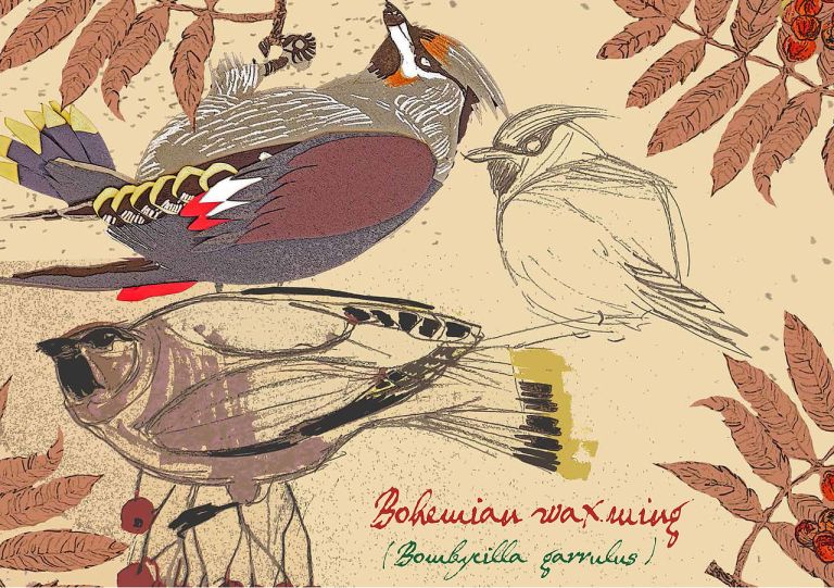 Prufrock: ‘White Trash Cooking’ Revisited, Cruel Birdwatchers, and the Most Expensive Book at the Bottom of the Atlantic