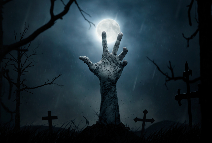 Reid’s zombie Senate should not set federal spending priorities