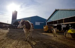 Meeting family farmers on their turf and in their fields