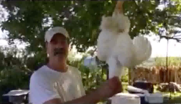 On Sunday, Mike Moon uploaded a 71-second video of him discussing Republican Gov. Eric Greitens' request for a special legislative session while slaughtering a live chicken. (Image courtesy screenshot)