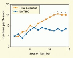 Study: Marijuana Use May Increase Risk of Nicotine Addiction