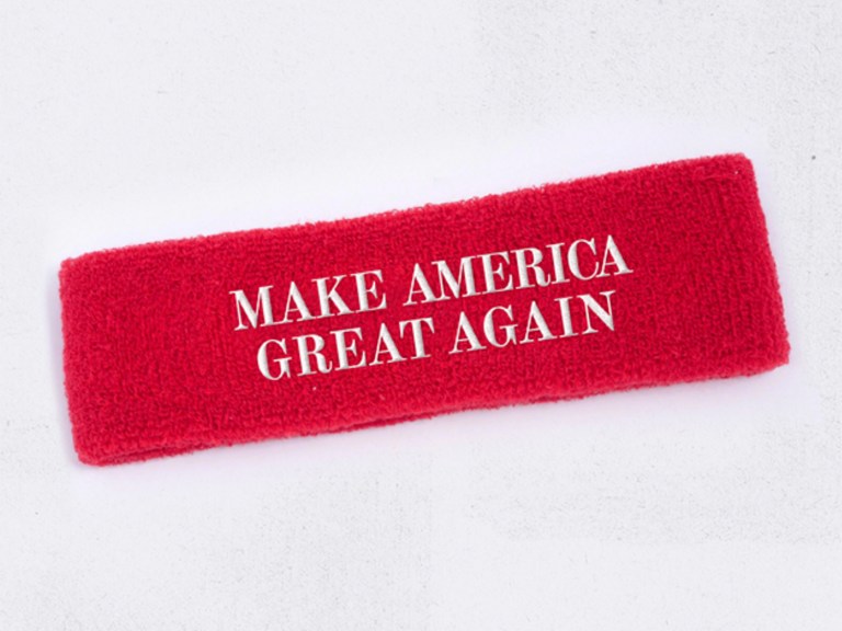 The campaign's fundraising pitch seeks donations with the promise of a 