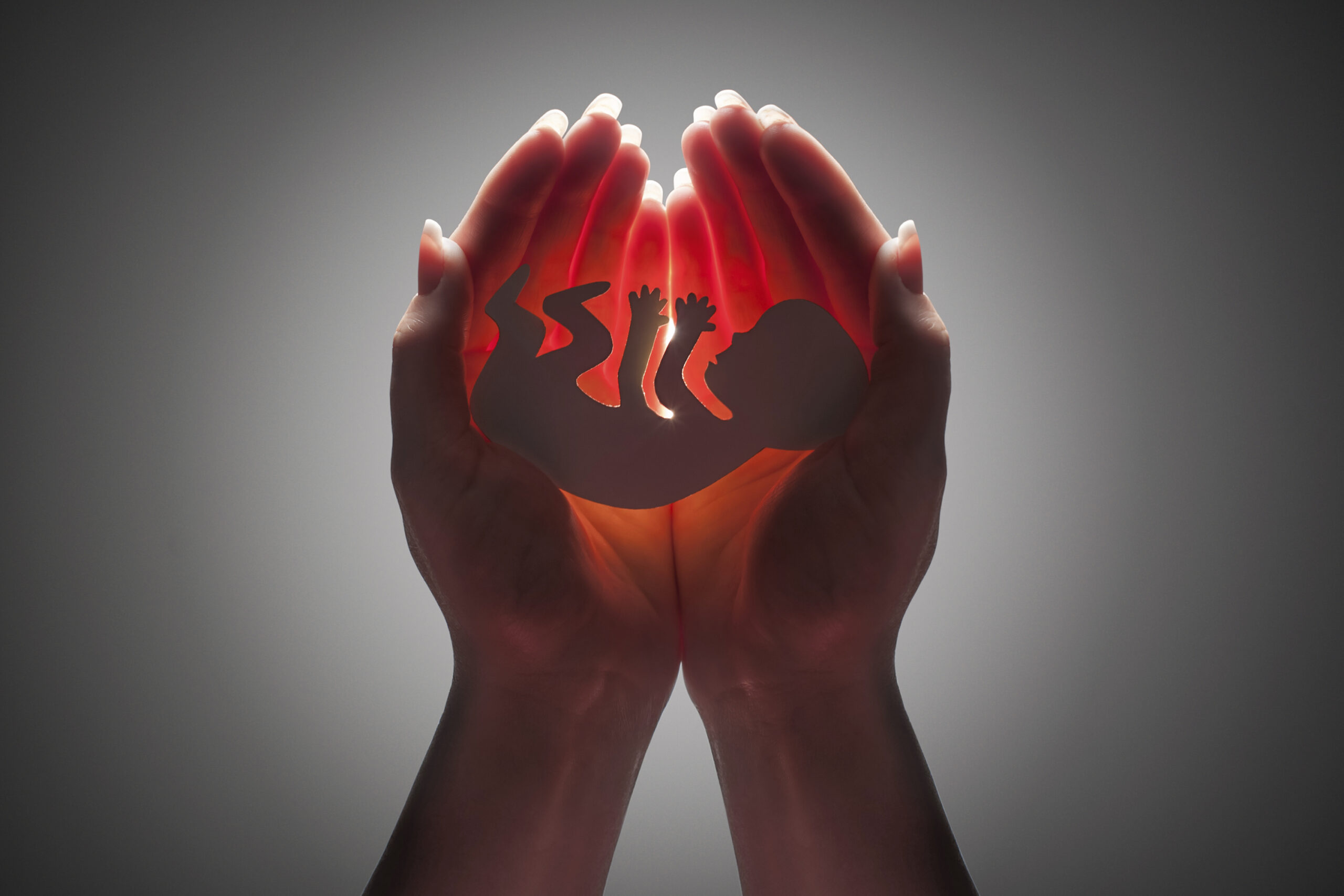 Peer-reviewed studies find state pro-life laws reduce abortion rates