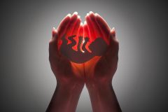 Peer-reviewed studies find state pro-life laws reduce abortion rates