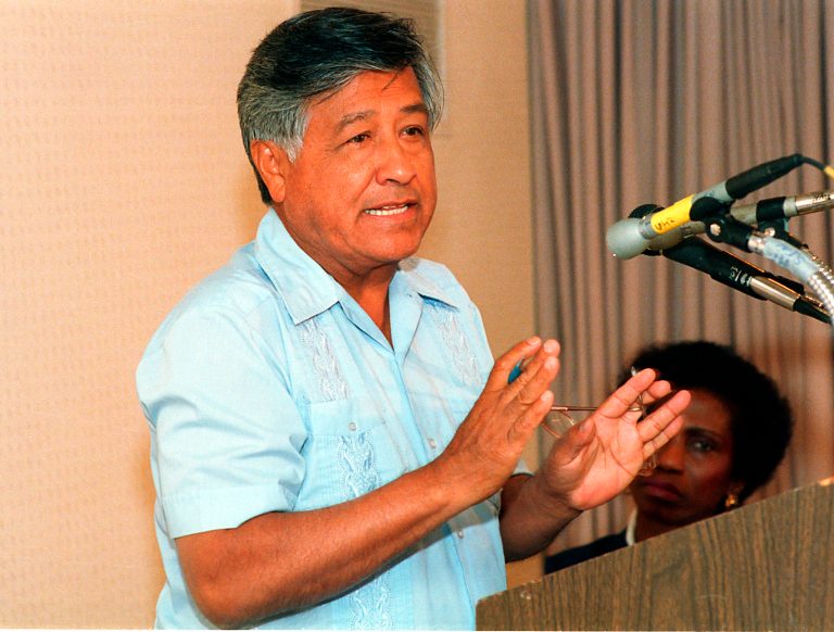 United Farm Workers President Cesar Chavez addresses a meeting at the National Association of Social Workers in Washington, D.C. on June 6, 1987. (AP Photo/Adele Starr)