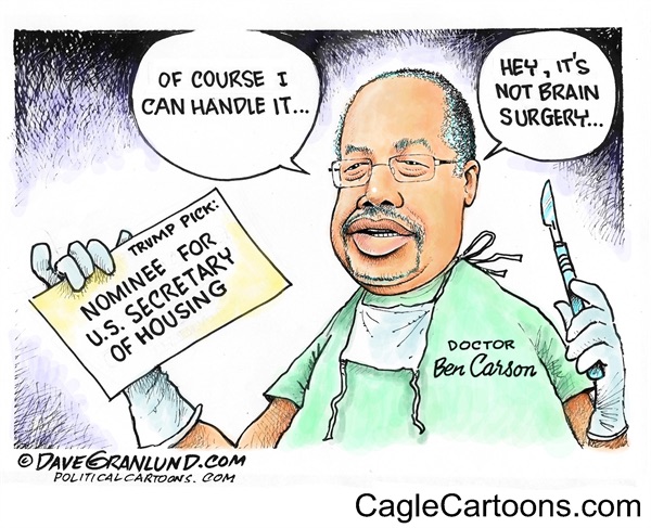 Editorial cartoon: Hey, it’s not brain surgery…